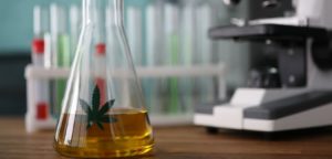 laboratorio cannabis (17)
