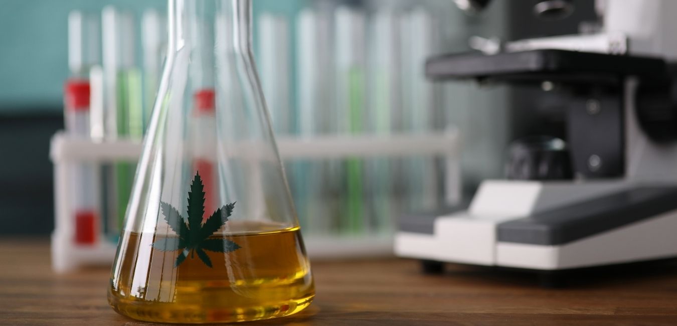 laboratorio cannabis (17)