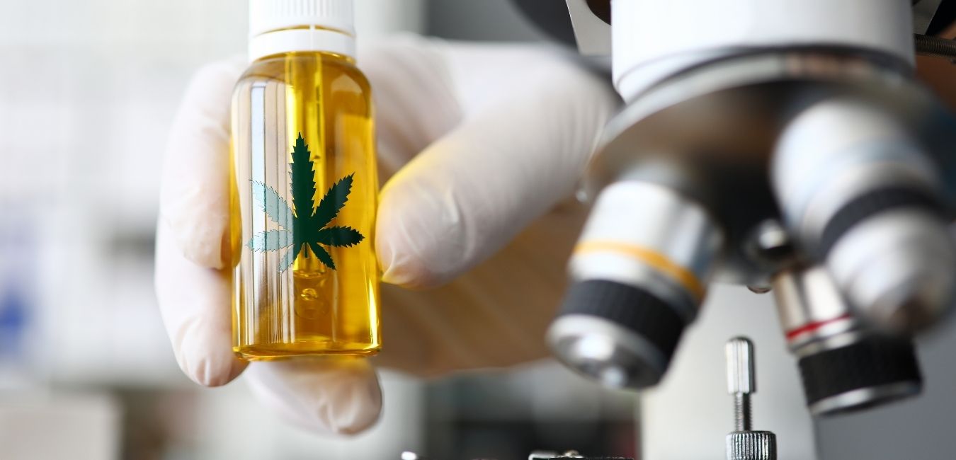 laboratorio cannabis (21)