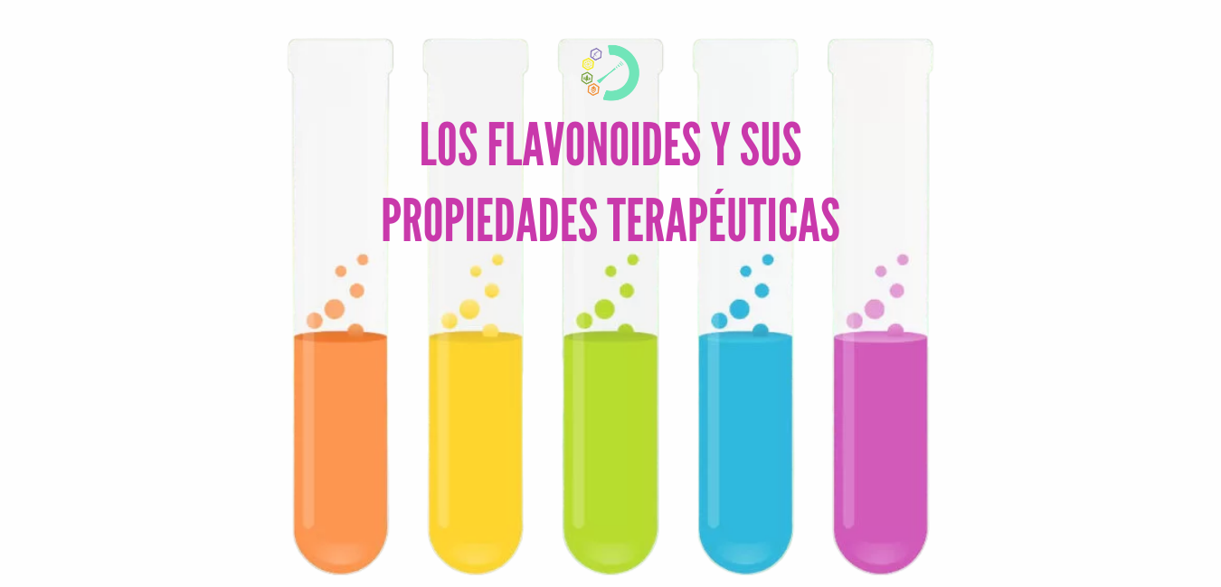 ¿Sabes qué son los flavonoides y cuáles son sus propiedades terapéuticas? Fundación Efecto Séquito